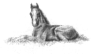 Dairy House Stud Logo